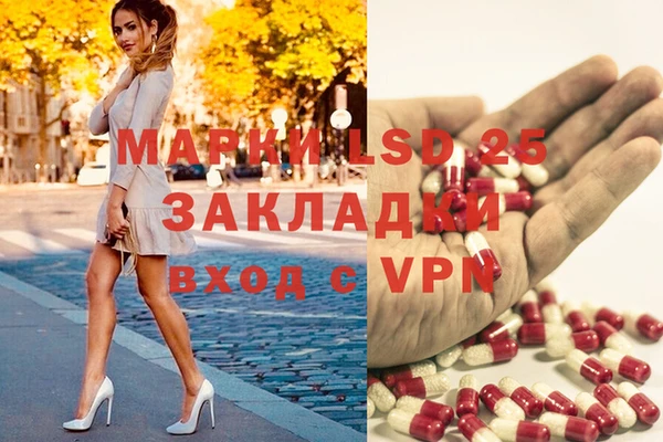 mdpv Ельня