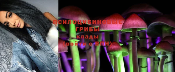 прущие грибы Новокубанск