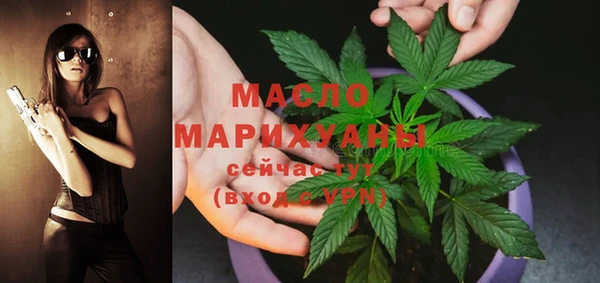 СК Новозыбков