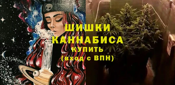 СК Новозыбков