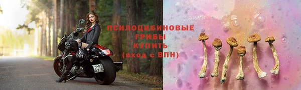 СК Няндома