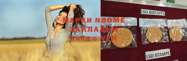 прущие грибы Новокубанск