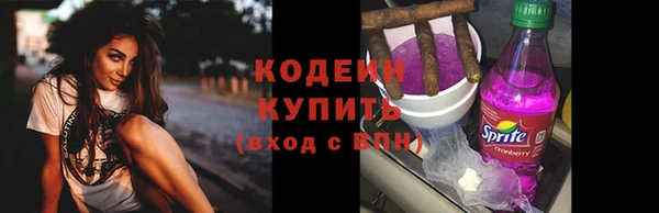 СК Няндома