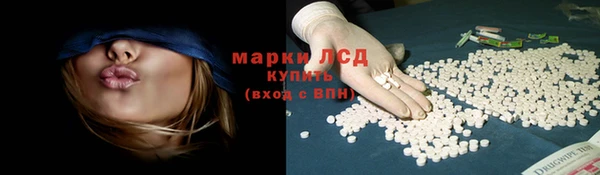 СК Новозыбков