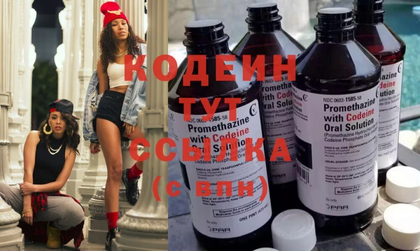 СК Новозыбков