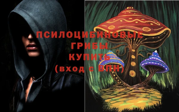 стаф Новодвинск