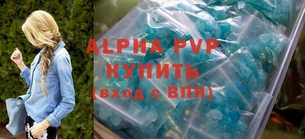 стаф Новодвинск