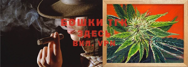 PSILOCYBIN Нягань