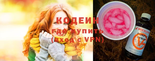 СК Новозыбков