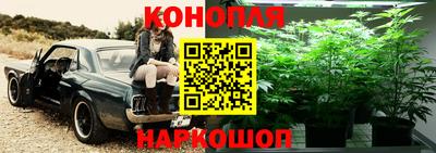 гашик Заволжье