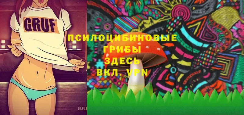 ссылка на мегу вход  Кстово  Галлюциногенные грибы Psilocybe 