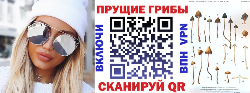 хочу   Кстово  Псилоцибиновые грибы Magic Shrooms 