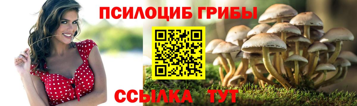 наркота  Вход с VPN  Кстово  Галлюциногенные грибы GOLDEN TEACHER 