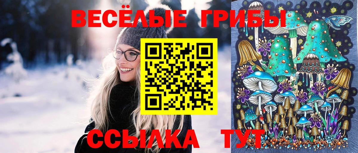 Псилоцибиновые грибы GOLDEN TEACHER Кстово